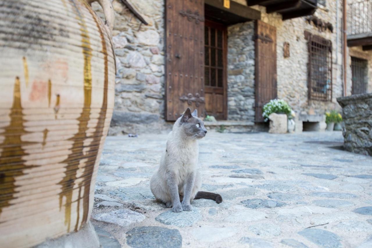 Can Criach Beget Esterno foto
